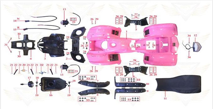 Body And Accessories